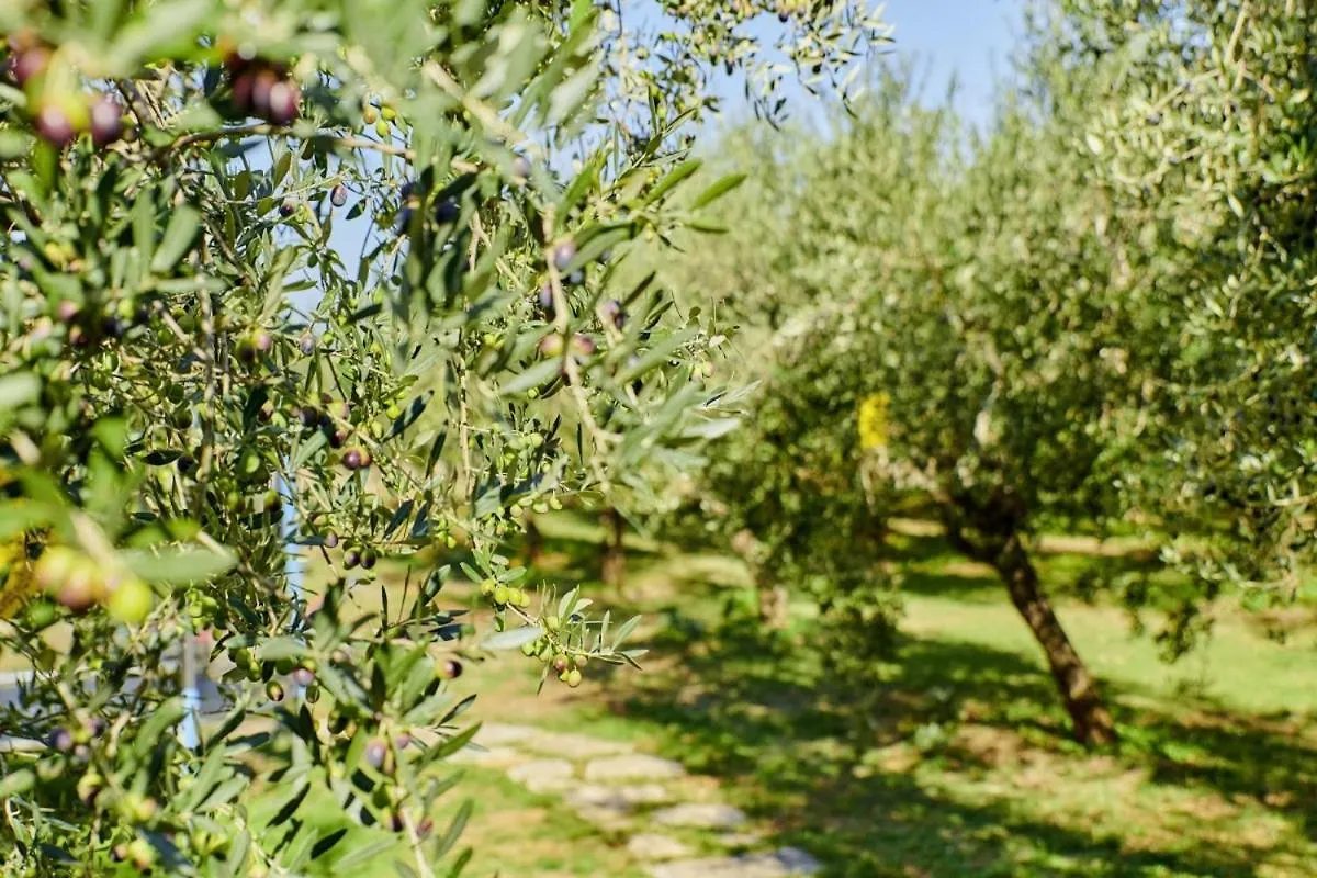 בית הארחה מלון Casa Emilia In Vodnjan * Istrien